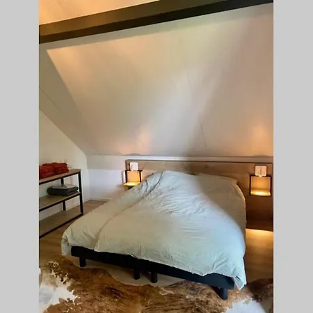 Vrijstaande 6 Persoons Hottub En Pizzaoven Op Ewijk