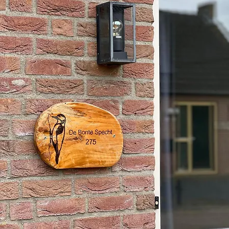 Vrijstaande 6 Persoons Hottub En Pizzaoven Op Ewijk