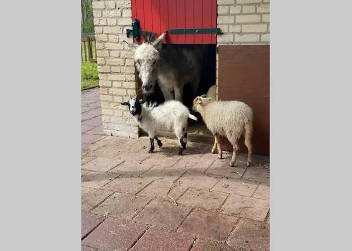 Vrijstaande 6 Persoons Hottub En Pizzaoven Op Dom wakacyjny