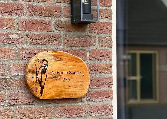 Vrijstaande 6 Persoons Hottub En Pizzaoven Op Ewijk